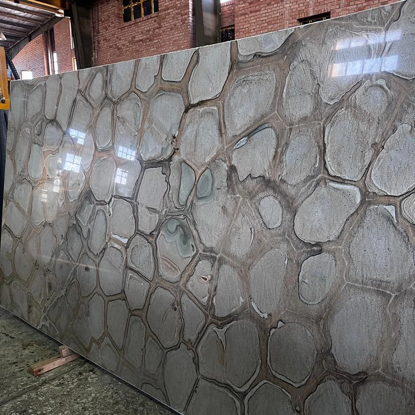 Imported Brazilian fossil building stone